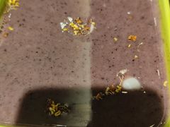 -玖鲜小笼(中山广场店)