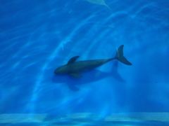 -北戴河圣蓝海洋公园