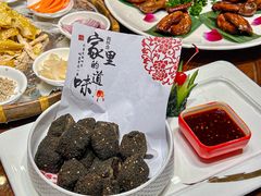 养生黑豆腐-梧桐庄园