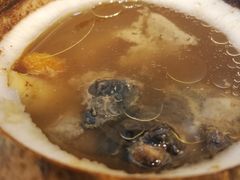 原只椰子炖竹丝鸡-達揚原味燉品(文明路店)