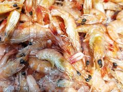 -格瑞欧海鲜自助烤肉火锅(光彩店)