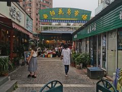 -曲阳花鸟市场(曲阳路店)