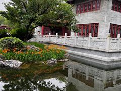 -顺峰山公园