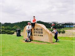 -光明小镇欢乐田园