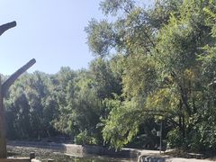 -黑龙江省森林植物园