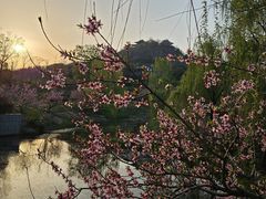 -雅达·阳羡溪山小镇中心