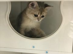 -银泰百货(海宁店)