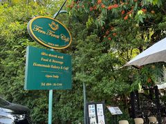 -Fern Forest Cafe