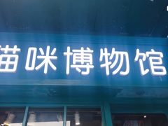 -猫咪博物馆(顶澳仔猫街店)