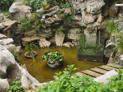 -美味之家·湖景农家乐(太湖东山店)