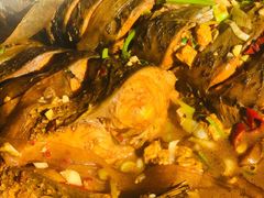 -庆岭迎宾园正宗活鱼馆