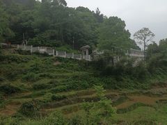 -湖南四明山国家森林公园