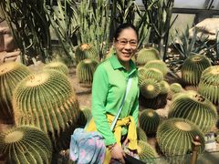 -北京植物园-展览温室
