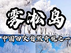 -雾凇岛