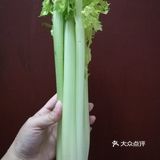 十里飘香生鲜爽脆的西芹炒肉