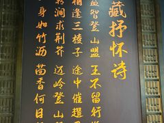 -广东中医药博物馆