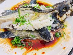 清蒸石斑鱼-覃记海鲜美食餐厅