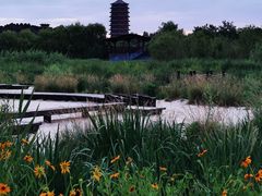 -永定河休闲森林公园