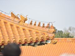 -故宫博物院(故宫)