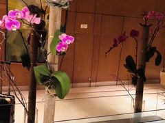 -上海浦东假日酒店