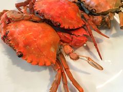 -荣誉国际酒店-云顶旋转餐厅