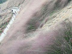 -牛岗山公园
