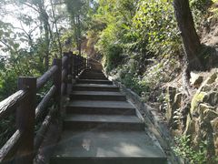 -羚羊峡古栈道森林公园