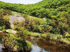 -大围山国家森林公园
