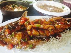 滇味松鼠鱼-新竹里馆·花园餐厅(兴苑路店)