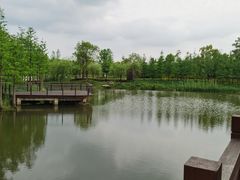 -苏州上方山国家森林公园