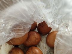 -年巴羊肉铺老铜锅(梅江店)