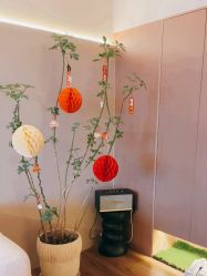 -栖SPA·ONDA ·海菲秀·皑皑科技美肤中心