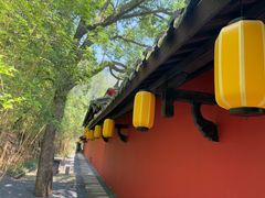 -大慈岩风景区