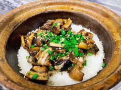 -红星光发煲仔饭(大石街店)