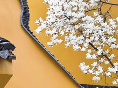 -龙华寺