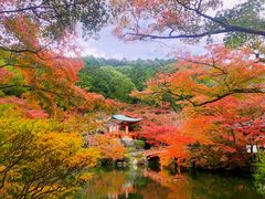 -醍醐寺