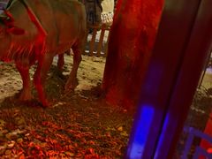 -大汗行宫园林餐厅