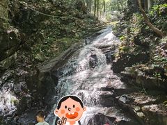 -藏龙百瀑风景区