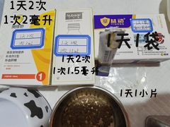 -全心全意连锁动物医院·微创中心·内科急重症·心脏专科(丰管路店)