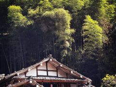 -林坑古村落