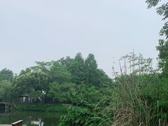 -西溪国家湿地公园