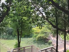 -广东花都湖国家湿地公园