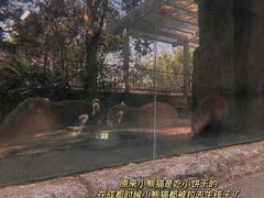 -东部华侨城