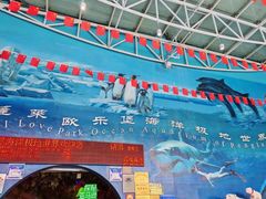 -蓬莱欧乐堡海洋极地世界