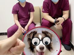 -美联众合动物医院·24h转诊中心