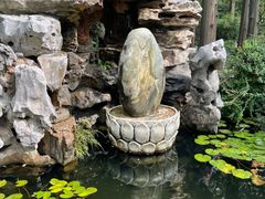 -上海醉白池公园