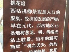 -桃花堤公园
