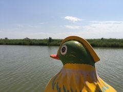 -黄沙古渡原生态旅游区