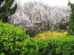 门面-白塘生态植物园