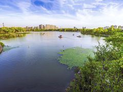 -昆山城市生态森林公园